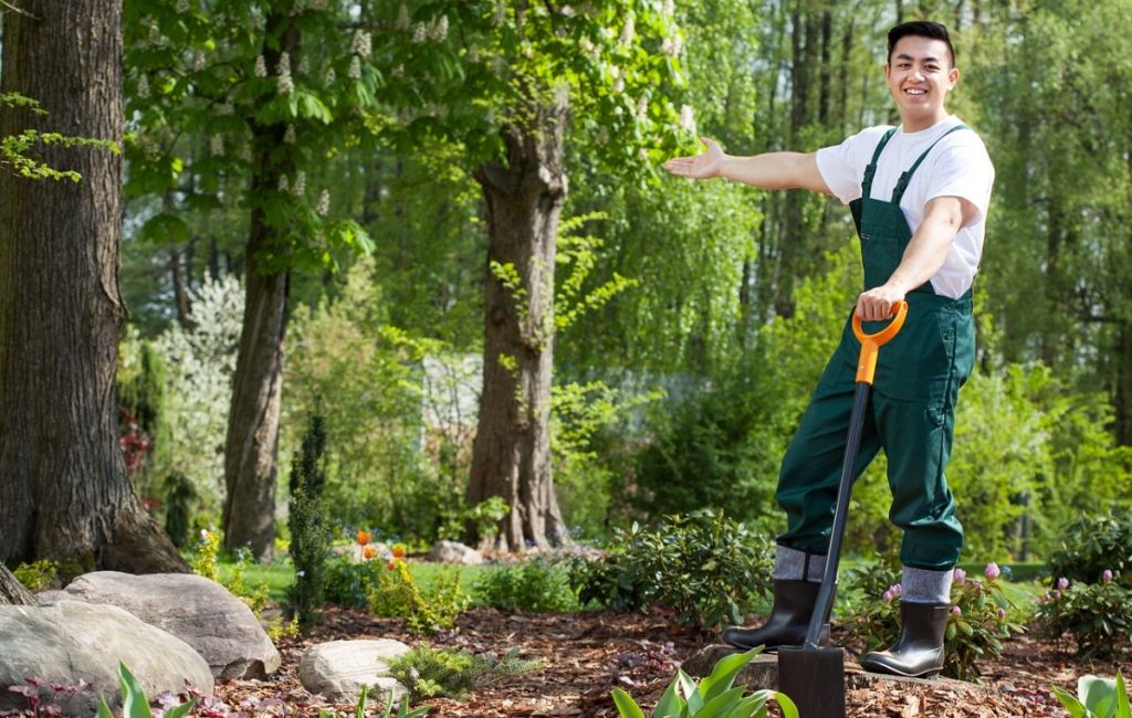 Gardener in a beautiful green garden