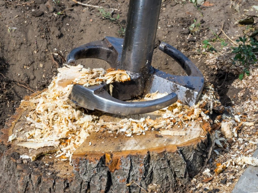 Breaking tree stump with cutter